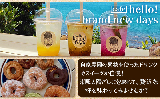 hello! brand new daysチケット28,000円分