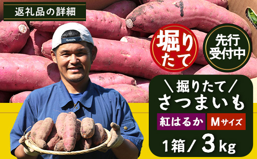 【先行予約：2026年9月中旬配送～】掘りたて さつまいも 紅はるか 3kg Mサイズ (自宅で簡単レシピ付き）FR-203 | 秋の味覚 2026年秋収穫 新物 さつまいも サツマイモ 感動サツマイモ 焼き芋 べにはるか 使いやすい 野菜 おやつ おかず お弁当 煮物 芋ごはん 味噌汁 産地直送 鹿児島県 南大隅町 株式会社フォレスト
