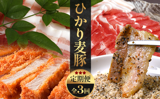 《先行受付～2026年1月中旬より順次発送～》【定期便全3回】ひかり麦豚定期便 ≪月替わりで楽しむ豚肉セット！しゃぶしゃぶ・ロース肉・焼肉セットをお届け！≫ 冷凍 HM-18 |肉 お肉 にく 豚肉 精肉 焼き肉 焼肉 やきにく バーベキュー ロース肉 肩ロース バラ肉 生姜焼き とんかつ しゃぶしゃぶ 真空冷凍 産地直送 小分け パック 手作り 鹿児島県 南大隅町 ひかり麦豚直売所