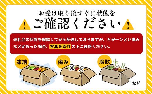 【定期便全6回】いろどり新鮮お野菜セット 10品目以上 NI-5 ｜ 旬 野菜 やさい 果物 くだもの 産地直送 農産物 冷蔵 鹿児島県 南大隅町産 詰合せ おまかせ 家庭用 なんたん市場