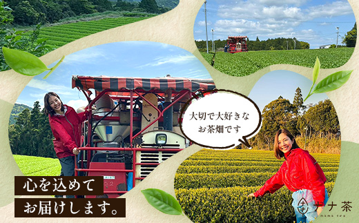 【2026年摘みたて！】新茶 ナナ茶 被せ茶 さえみどり 80g×2パック RS-8｜お茶 茶 茶葉 お茶の葉 ケルセチン 緑茶 日本茶 鹿児島茶 国産 おしゃれ ブレンド茶 シングルオリジン 鹿児島県 南大隅町 株式会社Re-Shine