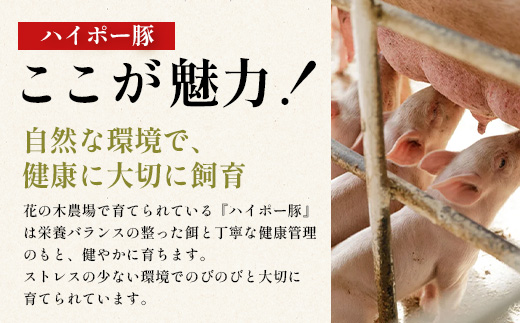 ３種の絶品豚肉セット（ロース・肩ロース・豚バラ）約1,200g HK-29│ 豚 ぶた 肉 焼肉 食べ比べ 厳選 部位別 焼肉屋さん ギフト セット BBQ バーベキュー お弁当 国産 ノウフク 農福連携 鹿児島県 南大隅町 第2花の木ファーム