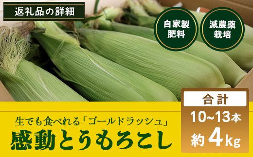 【2026年先行予約】【数量限定】感動とうもろこし ( 約4kg / 10〜13本 ) 鹿児島産 ゴールドラッシュ 