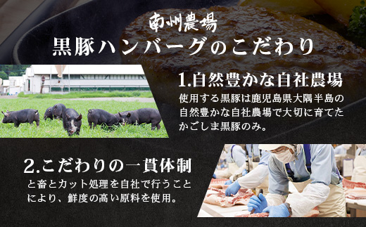 [冷凍 ]鹿児島県産 黒豚生ハンバーグセット（8個入）NS-12 ❘ 肉 お肉 豚肉 豚 にく ぶた かごしま黒豚 ハンバーグ おかず ジューシー 小分け ギフト おかず お弁当 国産 鹿児島県 南大隅町 南州農場