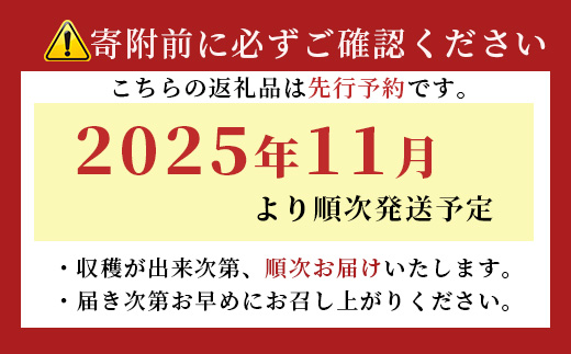 【先行予約】田淵さんちの美味しいミニトマト 小鈴2kg（1.0kg×２箱）