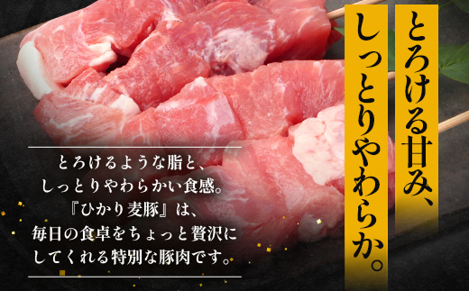 鹿児島県産 ひかり麦豚 串焼きとん 計32本（4本×8パック）冷凍　HM-9 | 肉 お肉 にく 豚肉 焼豚 串焼 冷凍 BBQ おつまみ 加工品 真空冷凍 産地直送 新鮮 小分け 産地直送 鹿児島県 南大隅町 ひかり麦豚直売所