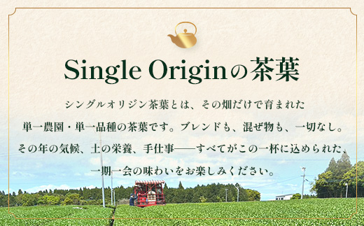 【2026年摘みたて！】新茶 ナナ茶 被せ茶 あさのか 80g×2パック RS-10｜お茶 茶 茶葉 お茶の葉 ケルセチン 緑茶 高級緑茶 高級 日本茶 鹿児島茶 国産 おしゃれ ブレンド茶 シングルオリジン 被覆栽培 鹿児島県 南大隅町 株式会社Re-Shine