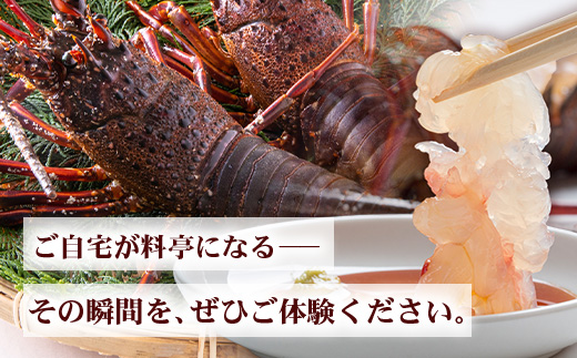 【数量限定・先行予約】鹿児島佐多岬 天然 活 伊勢海老 ＼＼約1kg 2～3尾／／ ≪2026年11月下旬より発送予定≫AB-501 ｜国産 えび イセエビ 伊勢エビ 常温 産地直送 天然 年末 天然 鹿児島県 南大隅町 本土最南端 佐多岬