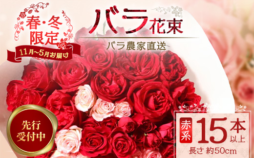 ※先行予約※【日付指定必須・ギフト対応可】ばら農家直送！人気の春・冬薔薇をお届け♪ バラ花束15本以上(赤系) TB-9│ローズ 新鮮 花 フラワー 花束 ばら 薔薇 バラ 誕生日 記念日 結婚祝い ギフト プレゼント お祝い 贈り物 贈答 鹿児島県 南大隅町 富田バラ園