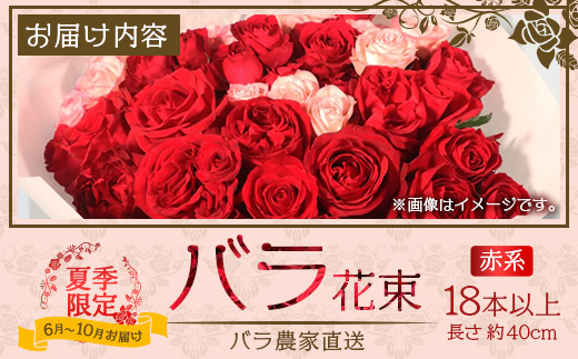 【日付指定必須・ギフト対応可】 夏季限定 ばら農家直送！バラ花束18本以上お届け(赤系) TB-1│ローズ 新鮮 花 フラワー 花束 ばら 薔薇 バラ 誕生日 記念日 結婚祝い ギフト プレゼント お祝い 贈り物 贈答 鹿児島県 南大隅町 富田バラ園