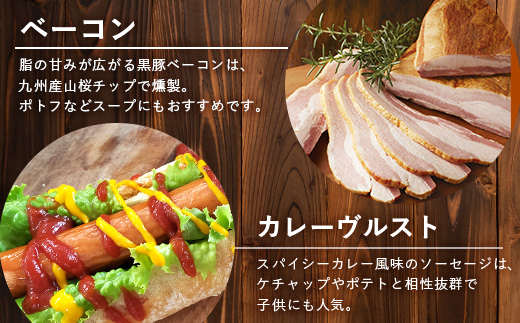 鹿児島県産 BBQ-BOX Ⅱ ハム ソーセージ ベーコン 詰め合わせ セット NS-25| かごしま 黒豚 生ハム ボロニア ウインナー ソース ジャーキー おつまみ バーベキュー 焼き肉 肉 肉汁 香ばしい 低添加製法 冷凍 鹿児島県 南大隅町 南州農場