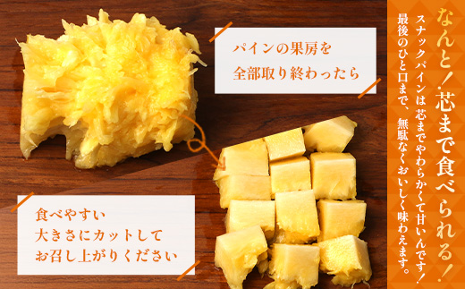 【2027年先行予約・数量限定】パイナップル/ボゴール種 (約800g×4玉) DS-4｜パイン パイナップル パインアップル フルーツ ボゴールパイン スナックパイン 産地直送 旬 送料無料 鹿児島県 南大隅町 株式会社デラセーラ