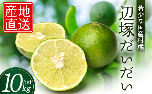 辺塚だいだい 約10kg NK-3|果物 柑橘 辺塚だいだい へつか 産地直送 詰め合わせ 10kg 国産 新鮮 おすすめ 人気 南大隅町