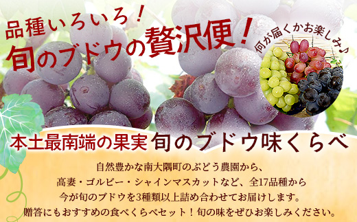 【数量限定！本土最南端ぶどう】旬のブドウ味くらべ２キロ（５～６房）｜ぶどう 葡萄 ブドウ 果物 人気  新鮮 高級 ギフト 鹿児島県 南大隅町 贈答 くだもの  期間限定 数量限定 TE708