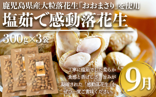 【定期便・年4回】農家の感動シリーズB (約16.4kg) FR-2｜冷凍焼き芋 ゴールドラッシュ とうもろこし 塩茹で 落花生 ピーナッツ 芋 さつまいも 紅はるか 野菜定期便 旬 産地直送 サラダ 南大隅町