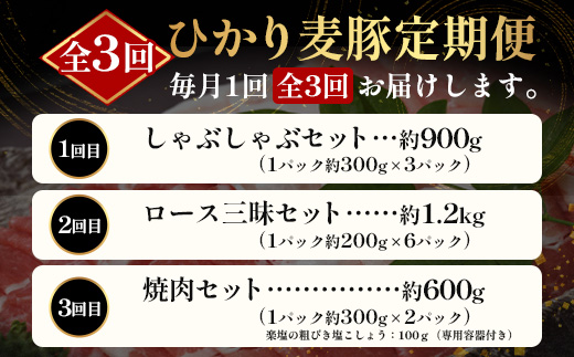 《先行受付～2026年1月中旬より順次発送～》【定期便全3回】ひかり麦豚定期便 ≪月替わりで楽しむ豚肉セット！しゃぶしゃぶ・ロース肉・焼肉セットをお届け！≫ 冷凍 HM-18 |肉 お肉 にく 豚肉 精肉 焼き肉 焼肉 やきにく バーベキュー ロース肉 肩ロース バラ肉 生姜焼き とんかつ しゃぶしゃぶ 真空冷凍 産地直送 小分け パック 手作り 鹿児島県 南大隅町 ひかり麦豚直売所
