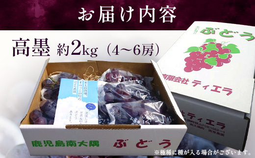 【期間限定・数量限定】本土最南端のぶどう 高墨 約2kg(4～6房）種無し TE-2｜ 黒ぶどう たかすみ 産地直送 旬 ブドウ 葡萄 ぶどう フルーツ 果物 くだもの 果実 巨峰 枝変わり 鹿児島県 南大隅町 有限会社ティエラ　