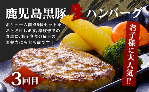 ≪全3回≫ 鹿児島県産 黒豚三昧 定期便 ♪ ＜ 黒豚味噌漬け 生姜焼き 生ハンバーグ ＞ ★☆＼＼ 黒豚ロース味噌漬け バナナマンの早起きせっかくグルメで紹介されました！！／／☆★ 南州農場 かごしま黒豚 NS-29 | 肉 お肉 豚肉 豚 にく ぶた 鹿児島黒豚 ハンバーグ 味噌漬け 生姜焼き おかず ジューシー お弁当 国産 肉定期便 鹿児島県 南大隅町 南州農場