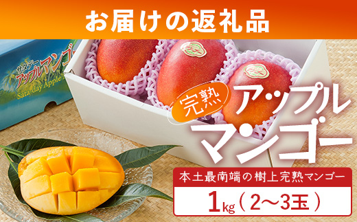 【先行予約】☆本土最南端☆佐多の果樹園で育てた 完熟アップルマンゴー 1kg (2～3玉) 【2026年7月上旬以降順次発送】 ST-407 ｜鹿児島県 南大隅町 産地直送 旬 マンゴー フルーツ 果物 くだもの アップル マンゴー 詰め合わせ 第一佐多果樹園