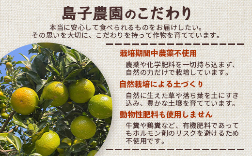 【訳あり】【数量限定】鹿児島県南大隅町産 スイートスプリング （S～M玉） 約5kg 【2025年12月中旬以降順次発送】 SK-19 ❘ 柑橘 フルーツ 国産 果物 みかん 期間限定 数量限定 産地直送 数量限定 もぎたて 新鮮 果汁 たっぷりミカン スイートスプリング 5kg 南大隅町 鹿児島県 島子農園