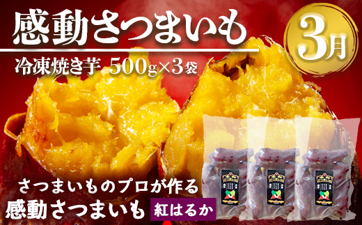 【定期便・ 年4回】農家の感動シリーズA ( 冷凍焼き芋 ゴールドラッシュ 塩茹で落花生  紅はるか )（AX72305）