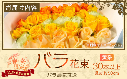 ※先行予約※【日付指定必須・ギフト対応可】ばら農家直送！人気の春・冬薔薇をお届け♪バラ花束30本以上(黄系) TB-15 │ ローズ 新鮮 花 フラワー 花束 ばら 薔薇 バラ 誕生日 記念日 結婚祝い ギフト プレゼント お祝い 贈り物 贈答 鹿児島県 南大隅町 富田バラ園