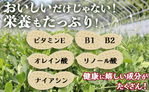≪数量限定≫鹿児島県産　食べ応え抜群の大粒落花生「おおまさり」５００g袋×２袋