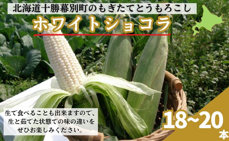 ［2024年出荷先行予約］もぎたてとうもろこし白色18～20本【十勝幕別 北海道ホープランド農場】