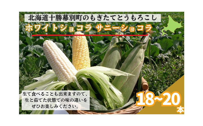 ［先行予約/2026年］もぎたてとうもろこし黄・白 計18～20本セット [北海道ホープランド農場]【 とうきび トウモロコシ とうもろこし 野菜 夏野菜 フルーツ 北海道 十勝 幕別 】 