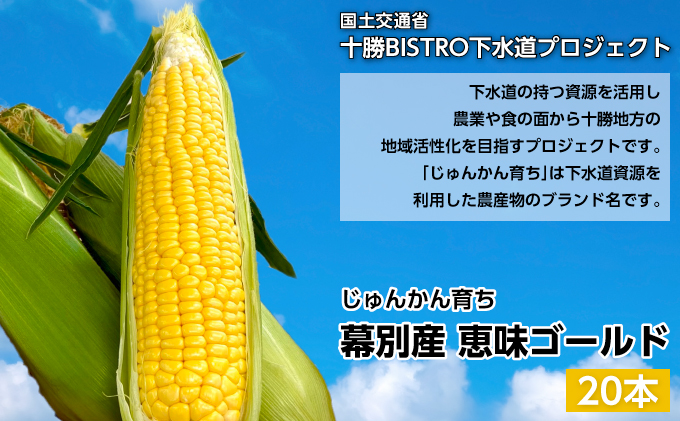 2026年発送先行予約 北海道 十勝 幕別産 とうもろこし 恵味ゴールド 20本「じゅんかん育ち」北王農林［十勝BISTRO下水道プロジェクト］【 とうもろこし とうきび コーン 野菜 フルーツ 甘い 】