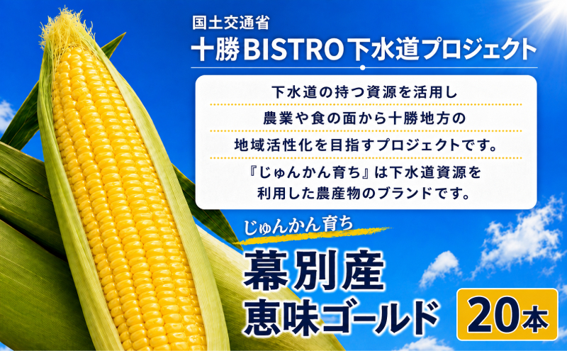 2026年発送先行予約 北海道 十勝 幕別産 とうもろこし 恵味ゴールド 20本「じゅんかん育ち」北王農林［十勝BISTRO下水道プロジェクト］【 とうもろこし とうきび コーン 野菜 フルーツ 甘い 】