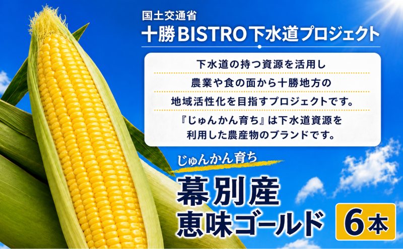 2026年発送先行予約 北海道 十勝 幕別産 とうもろこし 恵味ゴールド 6本「じゅんかん育ち」北王農林［十勝BISTRO下水道プロジェクト］【 とうもろこし とうきび コーン 野菜 フルーツ 甘い 】