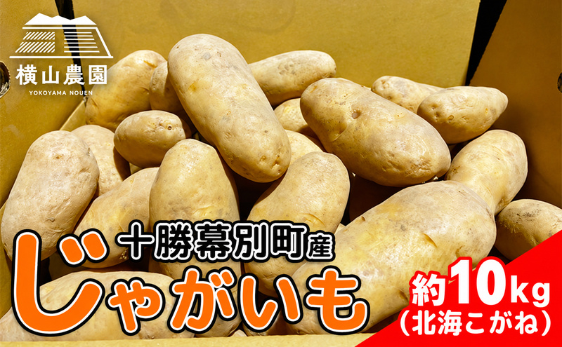 先行予約/2026年秋発送 北海道 十勝 幕別産 じゃがいも 北海こがね 約10kg 【横山農園】 野菜 根菜 フライドポテト ポテトチップス 変色しにくい 煮崩れしにくい 黄金色 北海道のジャガイモ 