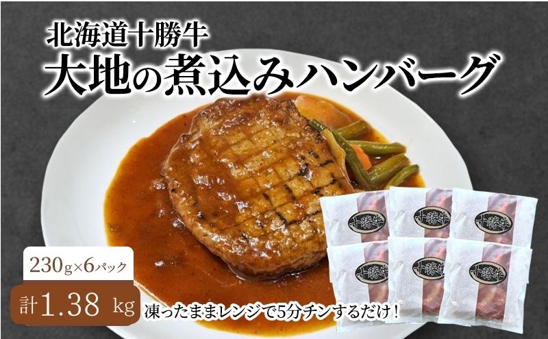 北海道 十勝牛 大地の煮込みハンバーグ230g×6パック 野菜入り お手軽レンチン【セット 牛100% 国産牛 牛肉 ハンバーグ 惣菜 小分け 冷凍 牛肉100% 大きい レンジ 簡単 国産 北海道 十勝 幕別 ふるさと納税 送料無料 】 