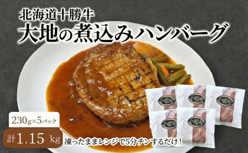 北海道 十勝牛 大地の煮込みハンバーグ230g×5パック 野菜入り お手軽レンチン【 セット 牛100% 国産牛 牛肉 ハンバーグ 惣菜 小分け 冷凍 牛肉100% 大きい レンジ 簡単 国産 北海道 十勝 幕別 ふるさと納税 送料無料 】 
