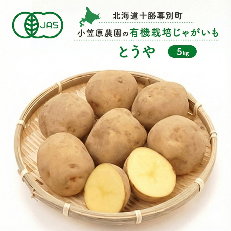 小笠原農園の有機じゃがいも「とうや」5kg 北海道 十勝 幕別《2026年秋出荷先行予約》【 野菜 芋 じゃがいも とうや 】