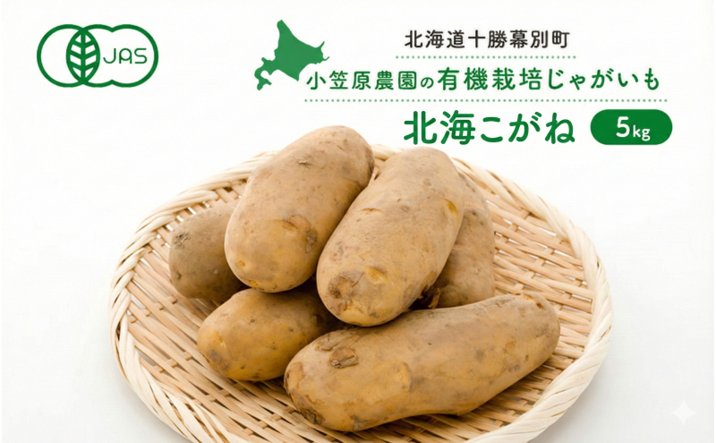 小笠原農園の有機じゃがいも「北海こがね」5kg 北海道 十勝 幕別 《2026年秋出荷先行予約》【  野菜 芋 じゃがいも 北海こがね 】