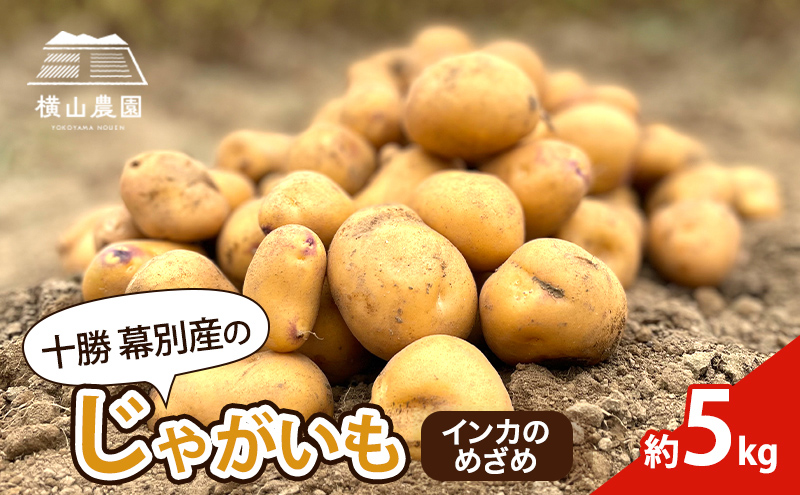 先行予約/2026年秋発送 北海道 十勝 幕別産 じゃがいも インカのめざめ 約5kg【横山農園】  野菜 根菜 フライドポテト ポテトチップス 変色しにくい 煮崩れしにくい 黄金色 北海道のジャガイモ 