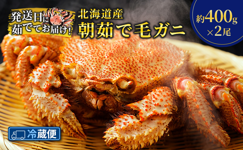 ［冷蔵便］茹でたて直送！北海道産 朝茹で毛ガニ 約400g×2尾【 かに カニ 蟹 毛蟹 毛ガニ 海鮮 魚介 海の幸 海産物 冷蔵 北海道 十勝 幕別 】