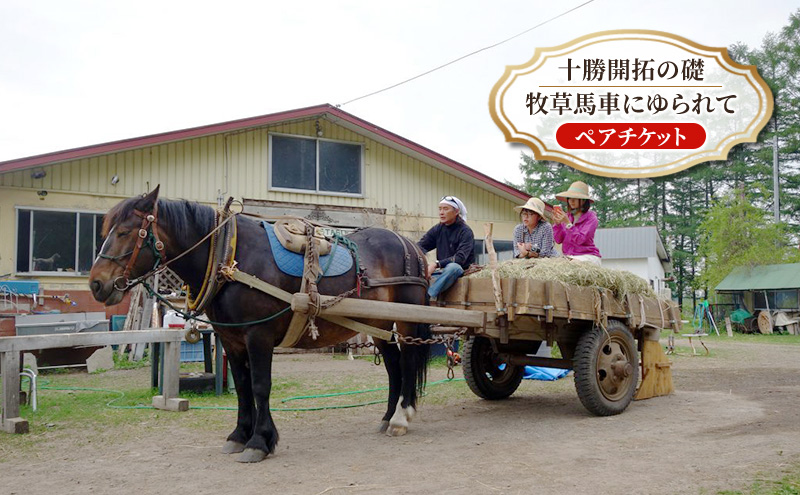 【北海道 十勝 幕別町 】十勝開拓の礎 牧草馬車にゆられて［ ペア チケット ］【 牧場 見学 ツアー 体験型 旅 旅行 イベント 夏休み 自由研究 移住 自然 放牧 ガイド 北海道 十勝 幕別 】