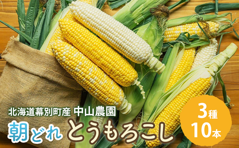 北海道 幕別町産 中山農園 朝どれ とうもろこし 3種 10本 （1本350g以上） [ 北海道産 スイートコーン 野菜  十勝 幕別 新鮮 テレビで紹介 ]