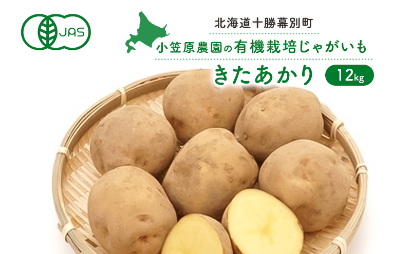 小笠原農園の有機じゃがいも「きたあかり」12kg【北海道十勝幕別】《2025年秋出荷先行予約》【 野菜 芋 じゃがいも きたあかり 北海道 幕別町 】