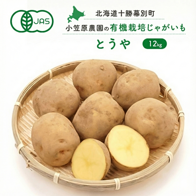 小笠原農園の有機じゃがいも「とうや」12kg 北海道 十勝 幕別《2026年秋出荷先行予約》【 野菜 芋 じゃがいも とうや 】 