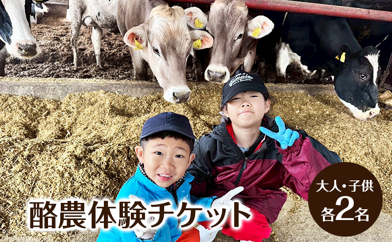 酪農体験チケット 大人・子供 各2名 【 体験チケット 酪農 北海道 幕別町 牛 搾乳 牧場 自然 】