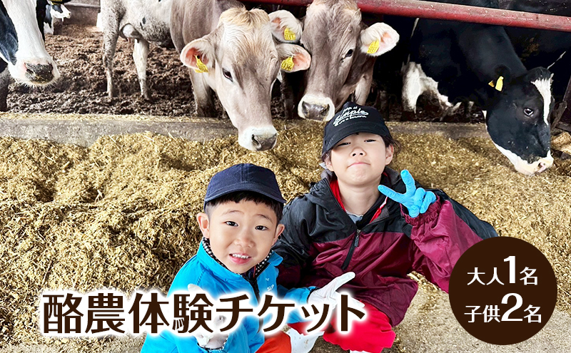 酪農体験チケット 大人1名・子供2名 【 体験チケット 酪農 北海道 幕別町 牛 搾乳 牧場 自然 】