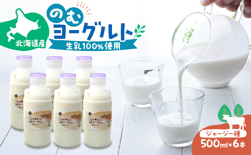 のむヨーグルト 生乳100%使用 500ml×6本 北海道産 ジャージー種 [i・ふぁーむ] 【 飲むヨーグルト 牧場直送 幕別 プレーン 濃厚 牛 朝食 】