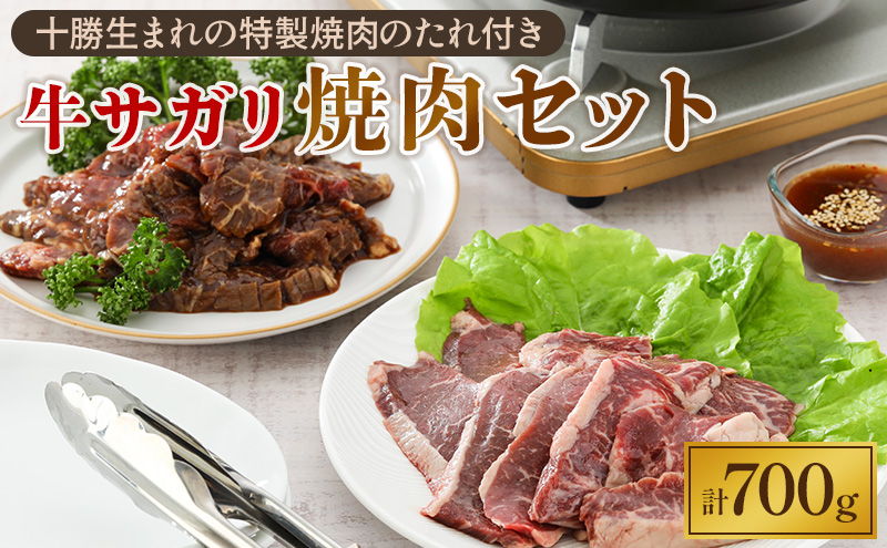 牛上ハラミ（サガリ）700g タレ付き焼肉セット【 牛肉 豚肉 焼き肉 惣菜 冷凍 北海道 十勝 幕別 ふるさと納税 送料無料 】 お肉 バーベキュー 