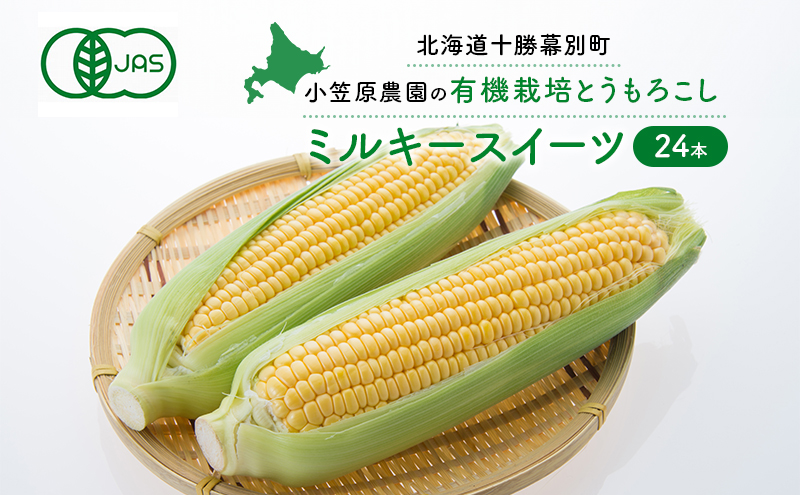 小笠原農園の有機とうもろこし「ミルキースイーツ」24本【北海道十勝幕別】《2026年8月出荷開始先行予約》【 スイートコーン コーン とうもろこし とうきび 黄色 野菜 夏 北海道 幕別町 】 