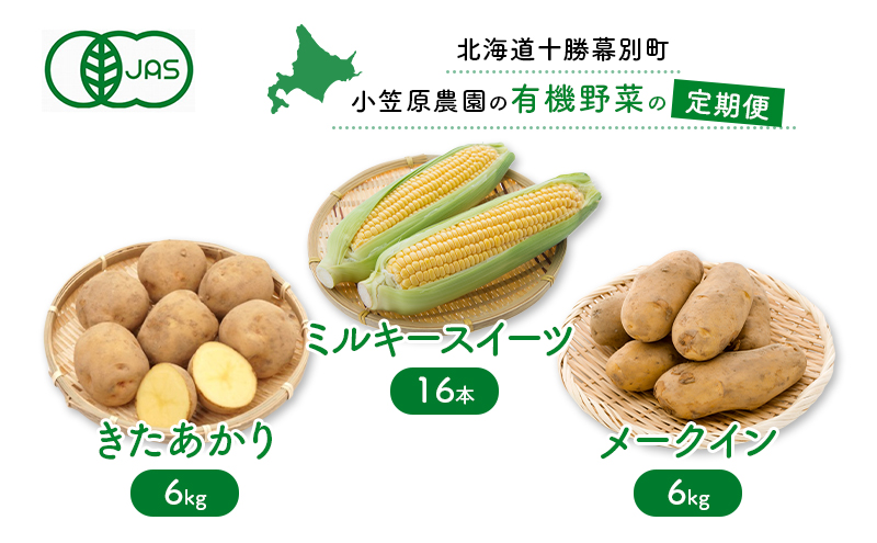 小笠原農園の有機野菜の定期便 夏とうもろこし「ミルキースイーツ」16本・秋じゃがいも2種（きたあかり6kg・メークイン6kg）《2025年8月出荷開始先行予約》【 スイートコーン コーン とうもろこし とうきび じゃがいも 芋 いも セット 野菜 定期便 北海道 幕別町 】