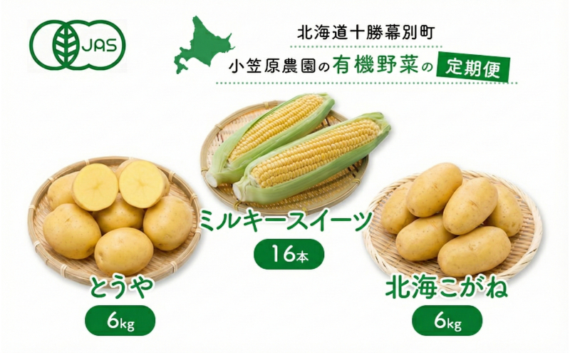 小笠原農園の有機野菜 定期便 夏「とうもろこし」ミルキースイーツ16本・秋「じゃがいも2種」とうや6kg・北海こがね6kg《2026年8月出荷開始》北海道 十勝 幕別【 スイートコーン じゃがいも 芋 セット 野菜 】